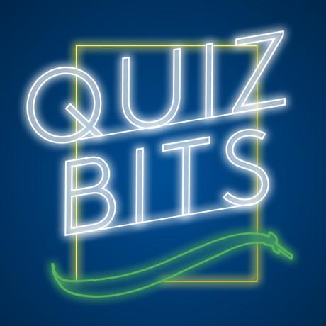 Quizbits